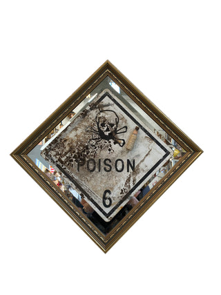 Poison Mirror