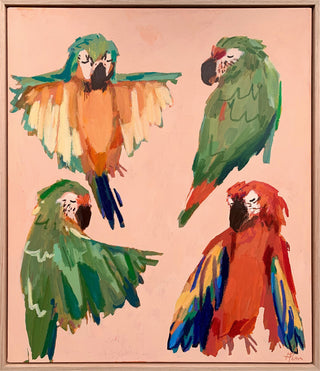 Macaws