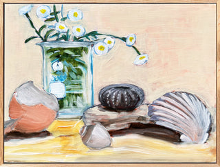 Eggshell, Chemistry Beaker, Flowers, Sea Urchin Sell, Seashells, Rock