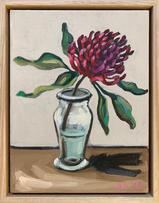 Singular Beauty | depicting waratah flower