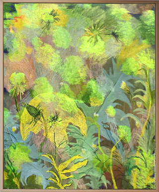 A Letter From the Universe