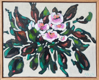 Orchid Series - Apricot Blush