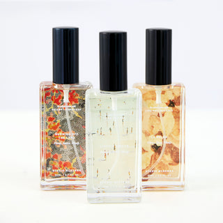 Artist Series: 50mL Interior Spray