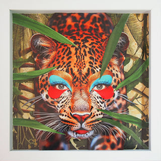 Animalia #1