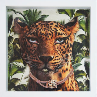 Animalia #4