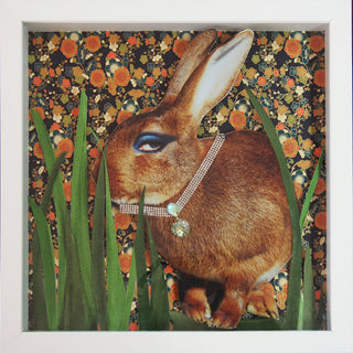 Animalia #5