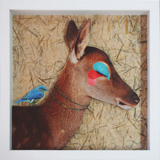 Animalia #6