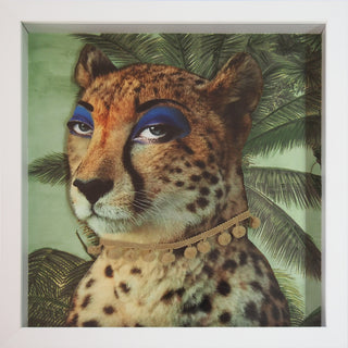 Animalia #7
