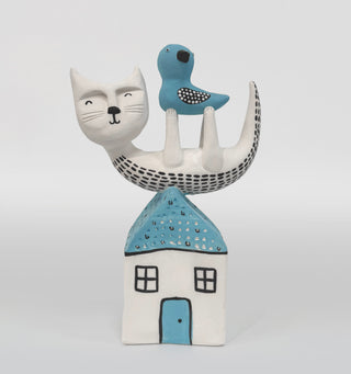 Domestic Cat