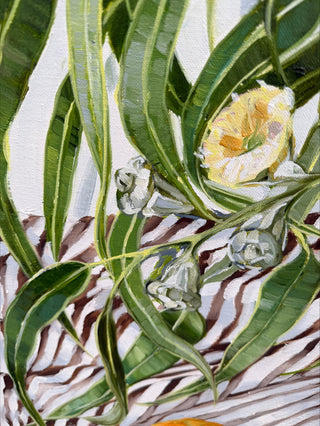 Citrus and Striped Gum