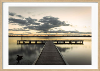 Lake Wendouree 03