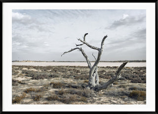 Murray Sunset Nationalpark 02