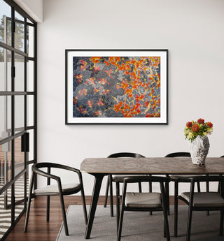 Goompi Ugerabah's Print Yarunya Jarrah sits framed on a wall above a dining room table. A vase with native Australian flowers sits on the table. The Art Print consists of many dots in orange, grey-blue, yellow and white.