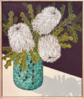 'Wooly Banksia's' By Gracie Cameron-Muller