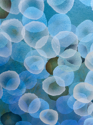 Aqueous Field VII