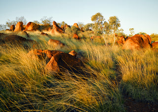 Kunjarra The Pebbles