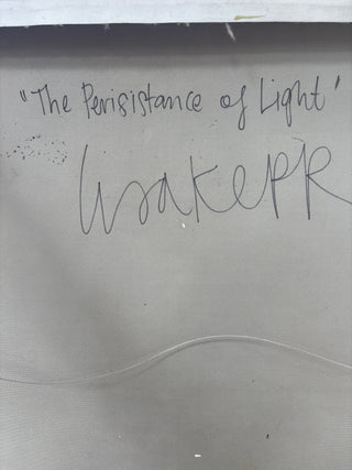 The Persistence of Light