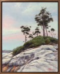 Roots, Rock, Water