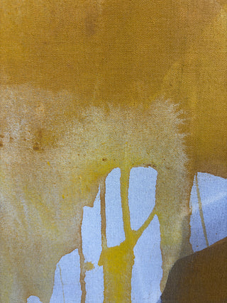 Colour Me Sunshine