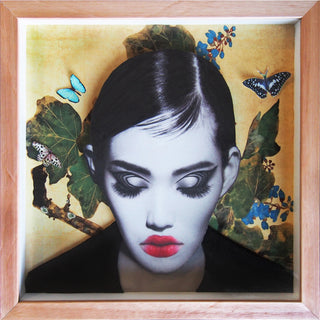 Onna-Musha Collage Series #7