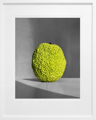 Osage Orange