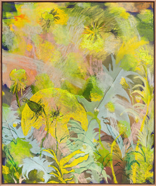 A Letter to the Universe