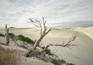 Yanerbie Sand Dunes