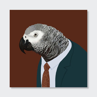 African Grey Parrot in Suit