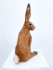Jenny Rowe Little Brown Hare 01 lessred