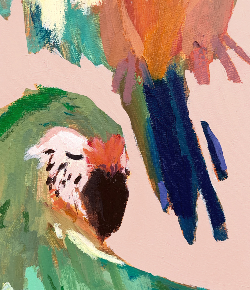 Mia Pensa Macaws Detail
