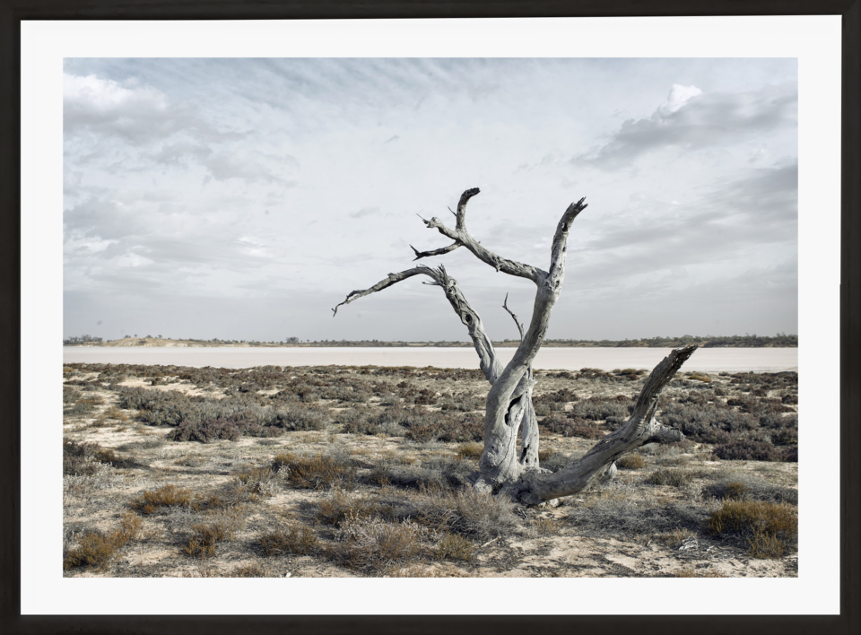 Craig Holloway Murray Sunset National Park 02 Framed Black