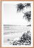 Michelle Schofield Noosa Sunrise Raw Framed Photographic Print