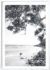 Michelle Schofield Surfer White Framed Photographic Print