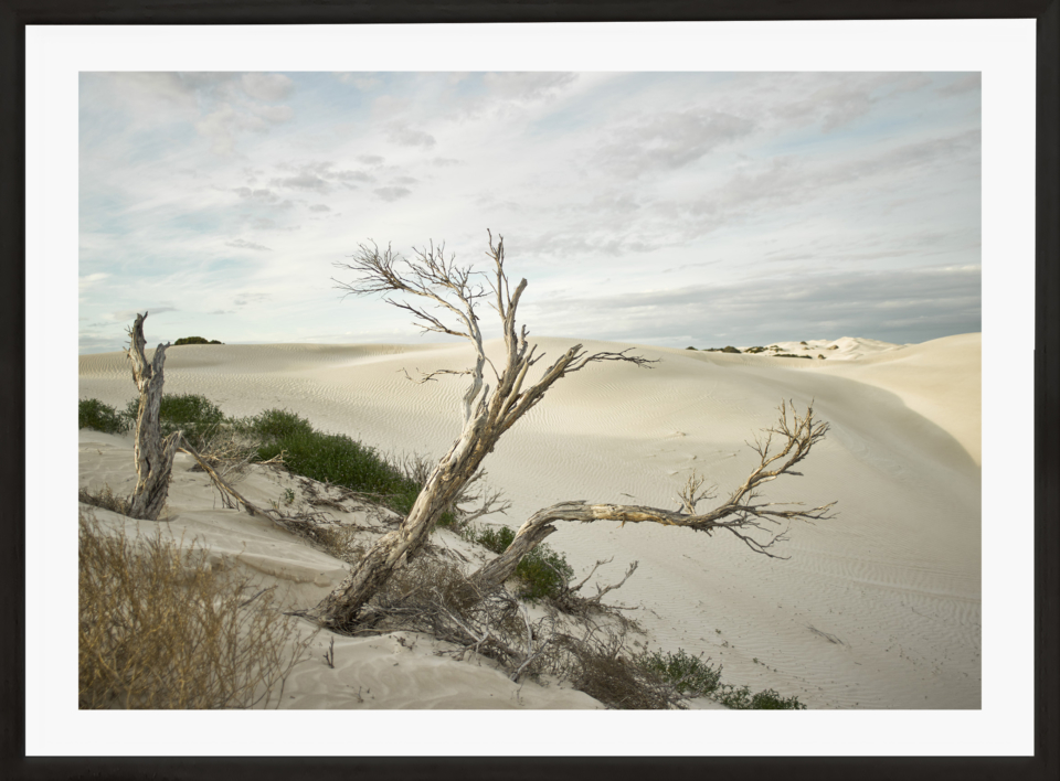 Craig Holloway Yanerbie Sand Dunes Framed Black