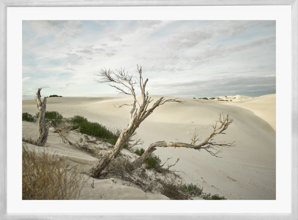 Craig Holloway Yanerbie Sand Dunes Framed White